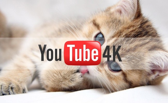 VP10, il codec Google gestisce al meglio i video 4K