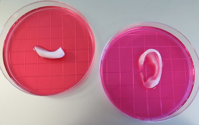 Ecco la stampante 3D per realizzare tessuti umani