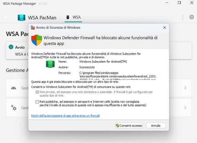 Configurazione firewall WSA Windows 11