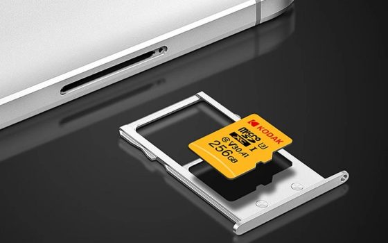 Kodak: scheda micro SD da 256 GB e chiavetta USB da 128 GB in offerta