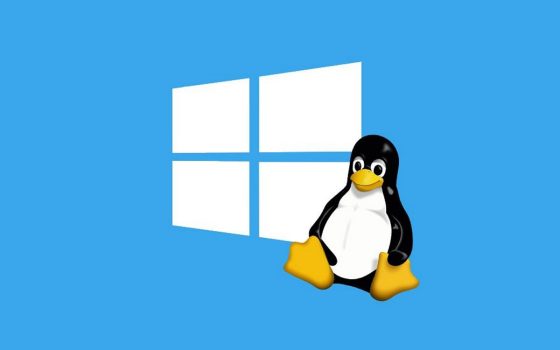 Sottosistema Windows per Linux: attivare l'accelerazione video con la GPU e Direct3D
