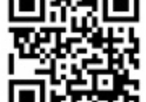 Creare e leggere codici QR. I codici che permettono di fornire ed ottenere informazioni in modo rapido Creare e leggere codici QR. I codici che permettono di fornire ed ottenere informazioni in modo rapido