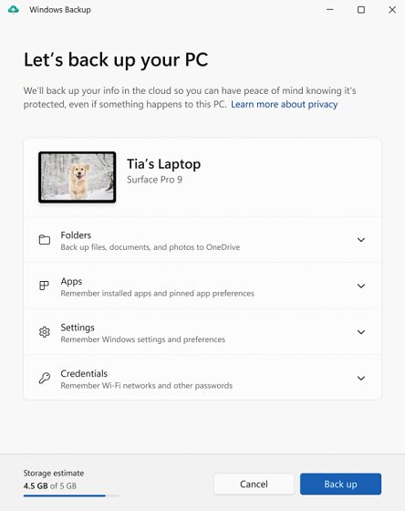 Nuova app Windows Backup di Windows 11