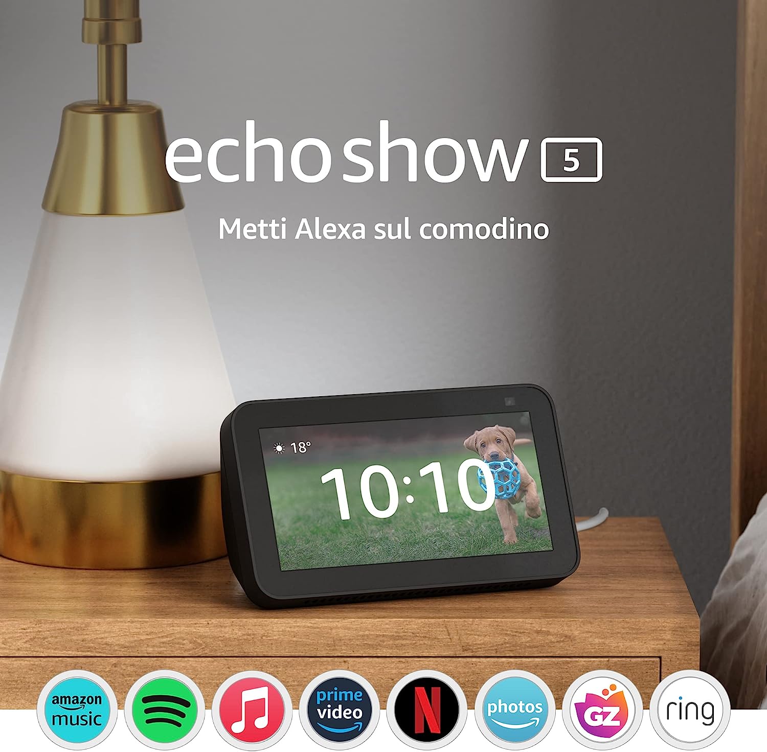 echo show 5 alexa