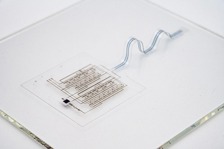Strati della e-skin e struttura della pelle elettronica