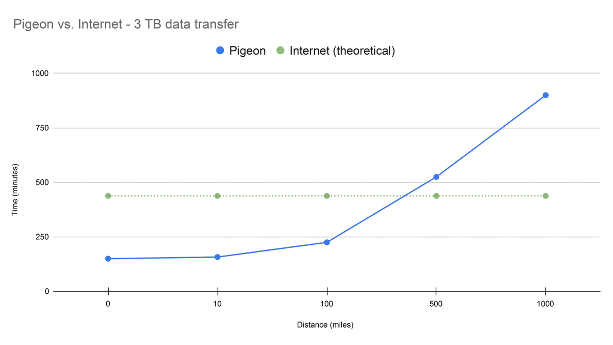 Piccione contro connessione Gigabit in fibra