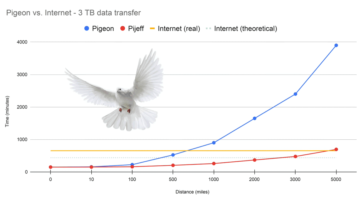 Trasferimento dati con piccione viaggiatore