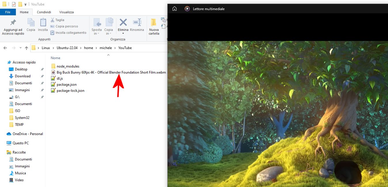 Scaricare video YouTube con npm e Node.js