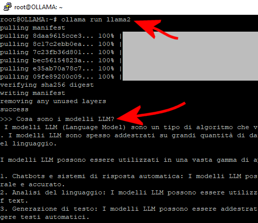 Ollama, prompt modello generativo IA