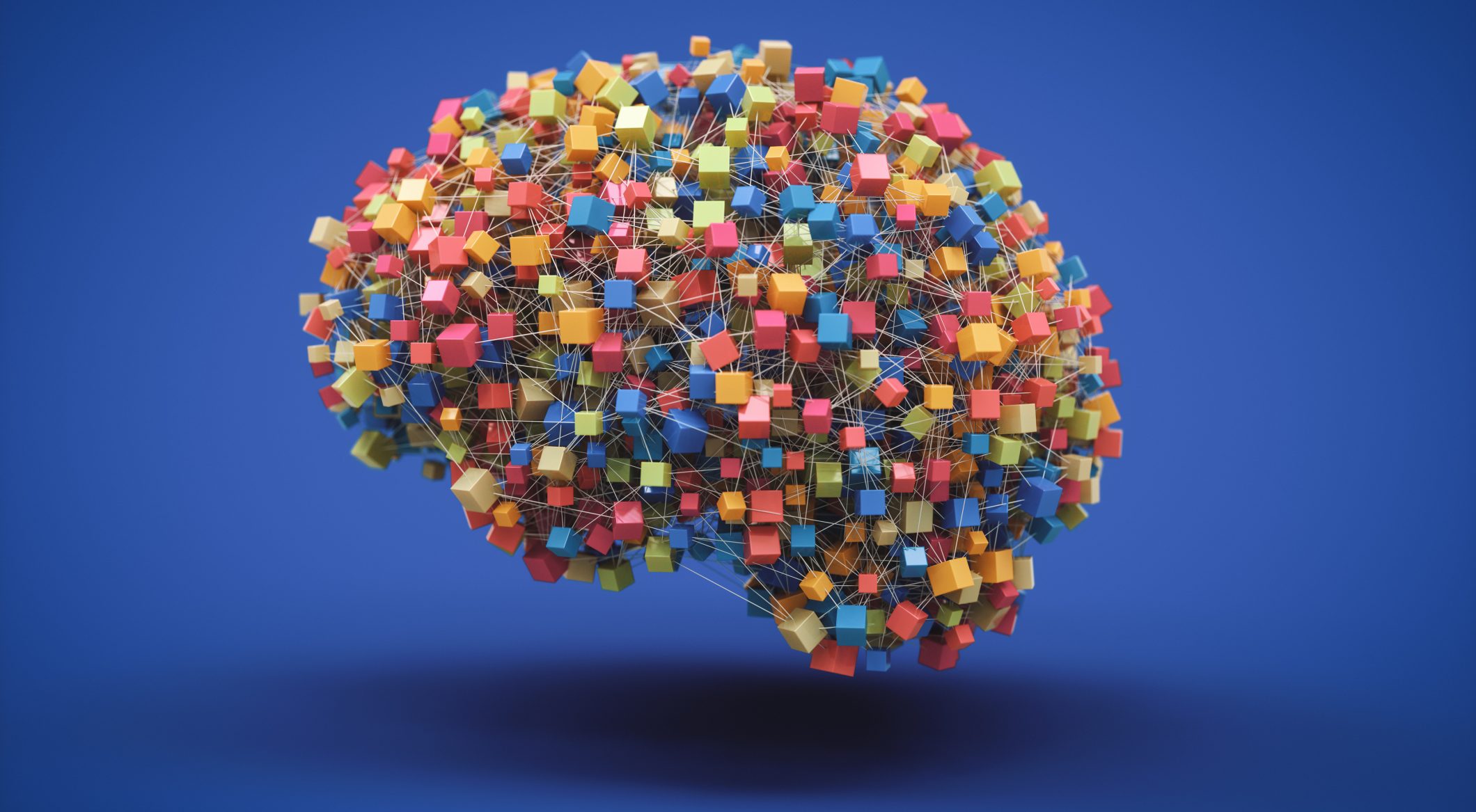 Computer bioibrido: il primo che usa tessuto cerebrale umano