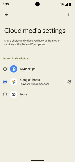 Integrazione Google Foto servizi cloud terzi