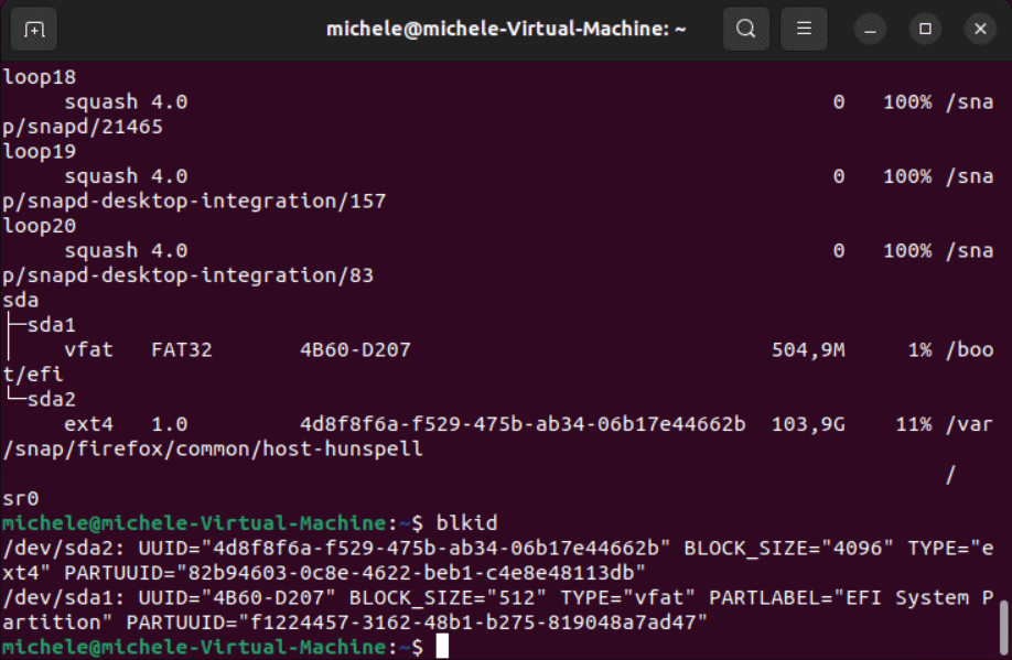 Dettagli partizioni Linux blkid