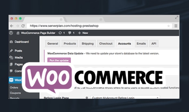 hosting woocommerce serverplan
