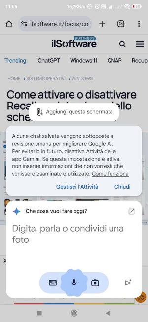 Elaborazione contenuti Web Gemini