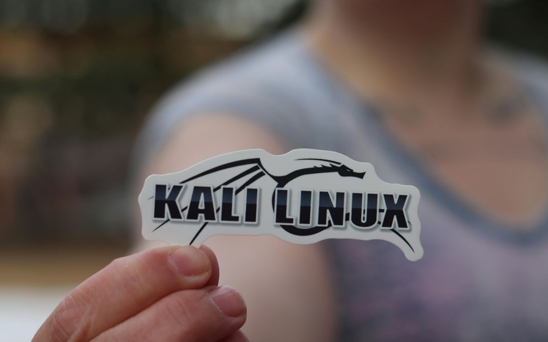Kali Linux 2024.4 ufficiale con kernel Linux 6.11, GNOME 47