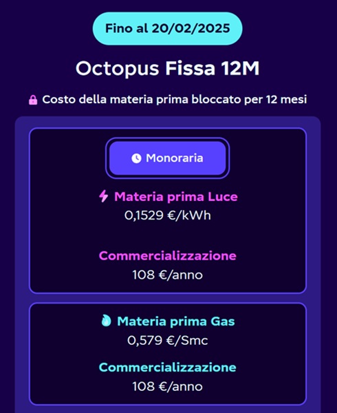 octopus fissa 12 mesi offerta