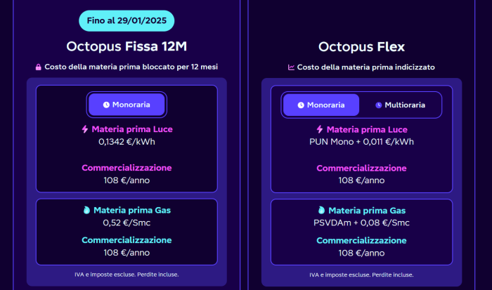 octopus energy