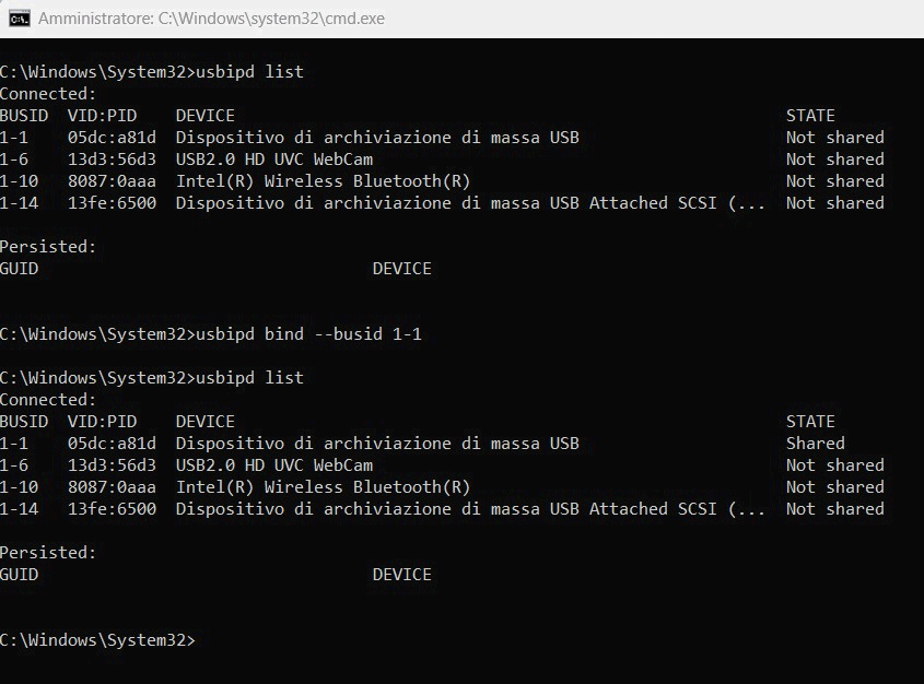 Condivisione USB con usbipd
