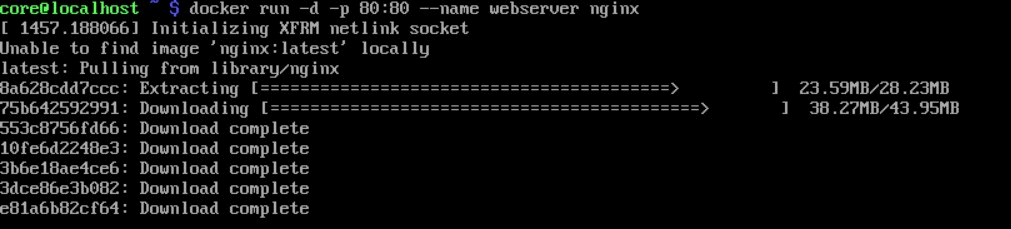 Uso Docker con Flatcar Linux