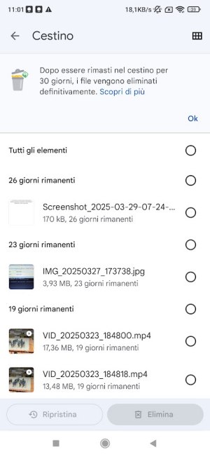 Svuotare Cestino Android