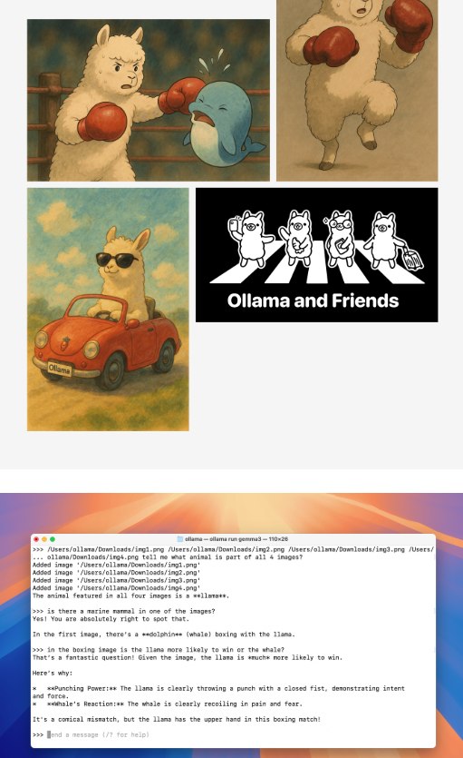 Funzionamento modelli multimodali e Ollama