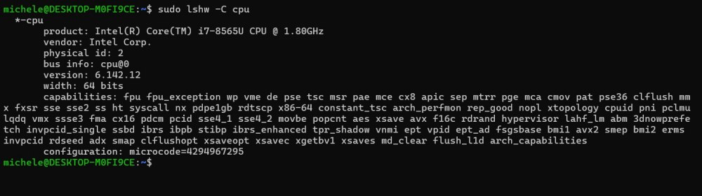 lshw raccoglie informazioni hardware su Linux