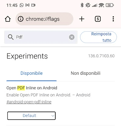 Supporto PDF Chrome Android
