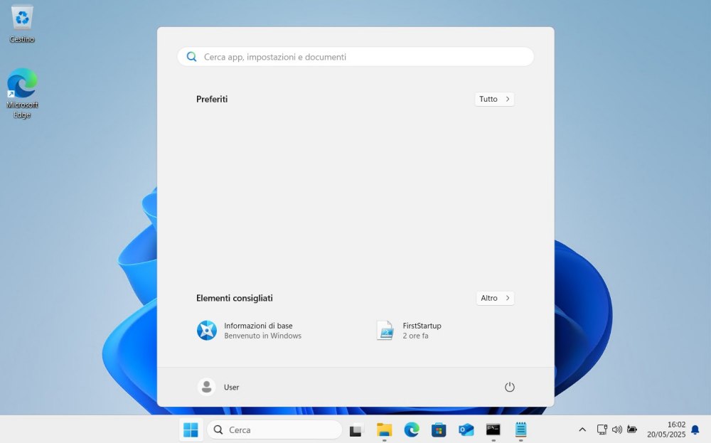 Windows 11 leggero