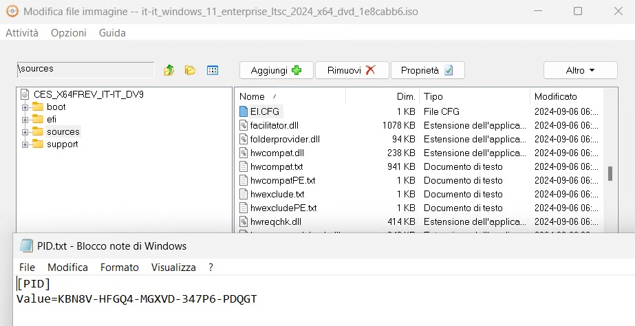 Personalizzazione ISO Windows 11 LTSC