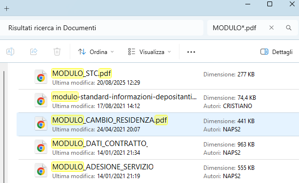 Ricerca con caratteri jolly con Windows Search e Windows 11