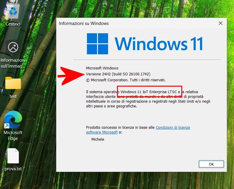 Verifica aggiornamento a Windows 11 LTSC in italiano