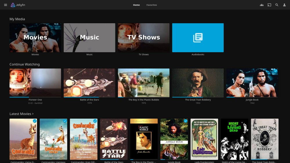 Jellyfin server multimediale self-hosted