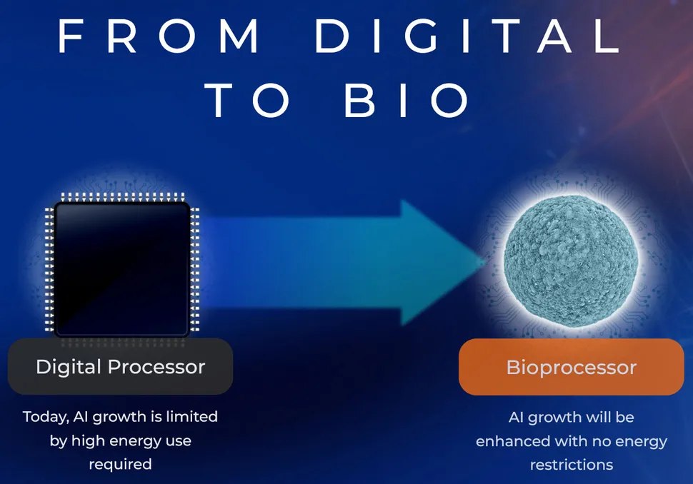 Bioprocessore FinalSpark