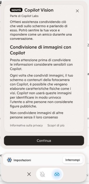 Attivazione Copilot Vision