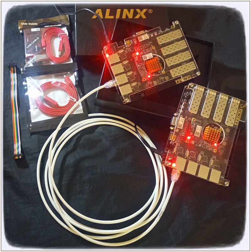 Scheda Alinx WireGuard FPGA