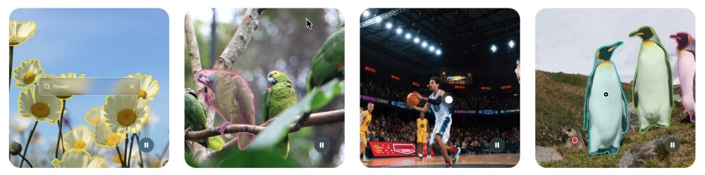 Esempi segmentazione Meta SAM3