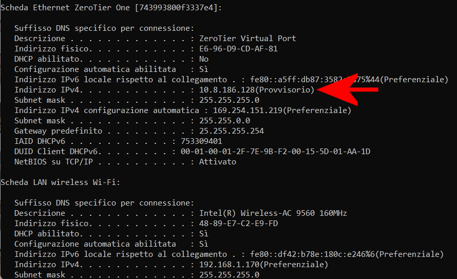 Controllo indirizzo IP client ZeroTier