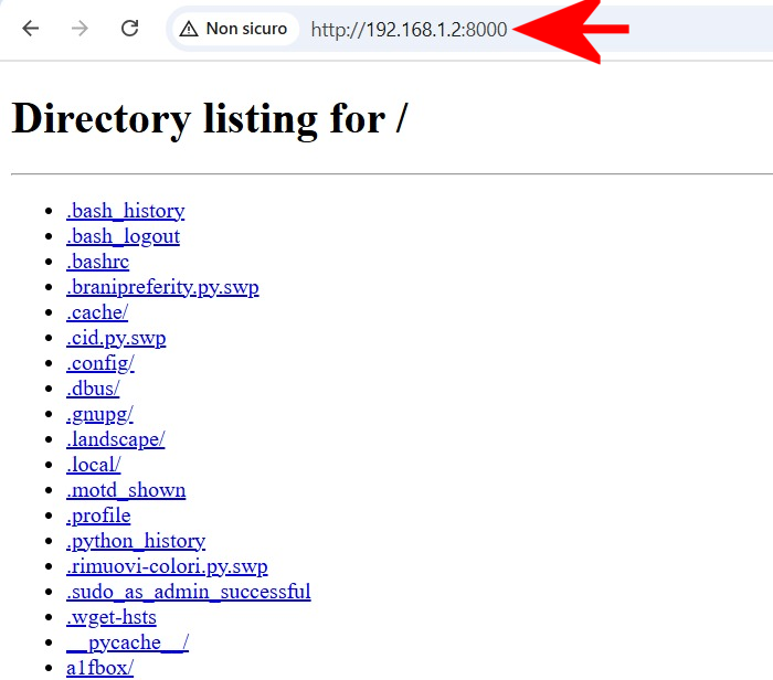 Server Web con WSL e una distro Linux