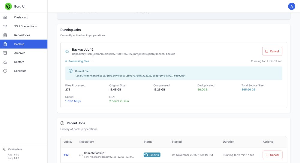 Dashboard backup con Borg Web UI