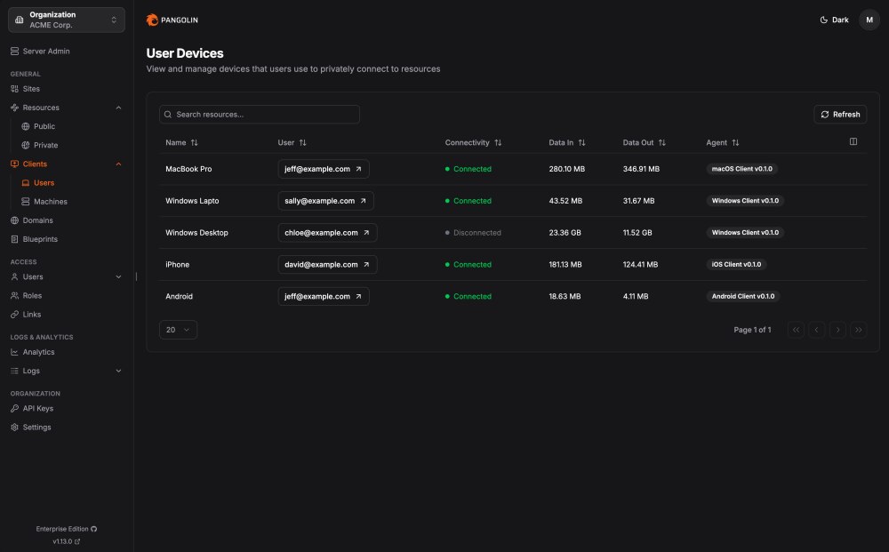 Controllo accessi VPN zero-trust