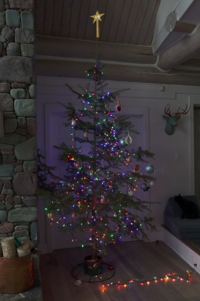 Immagine finale corretta JPEG dopo passaggi