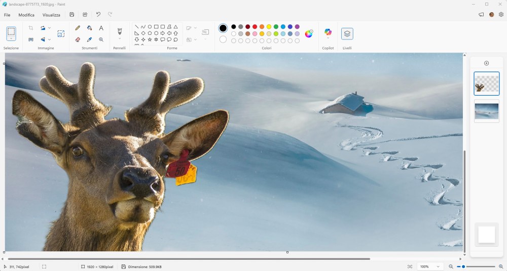 Rimozione sfondo livello Paint e trasparenza immagine
