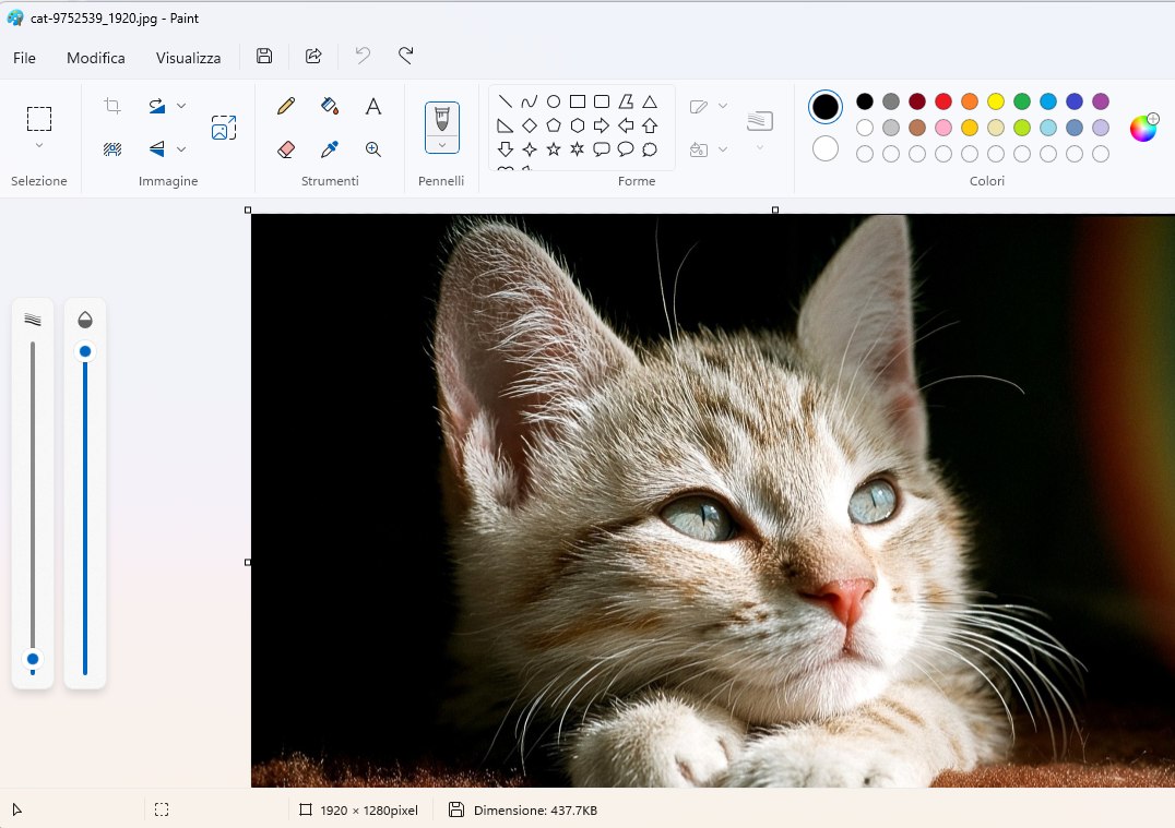 Rimozione sfondo foto Paint Windows 11
