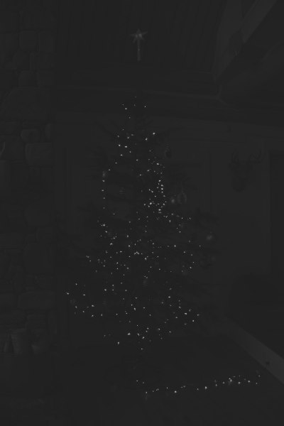 Foto di un albero di Natale così come lo vede un sensore fotografico