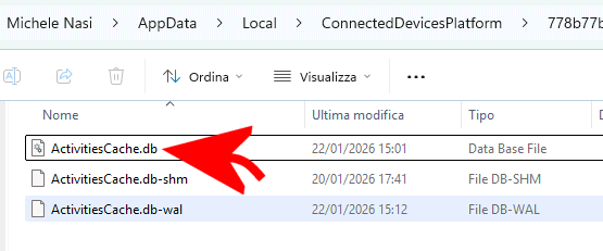 Attività utente registrate in Windows 10 e 11