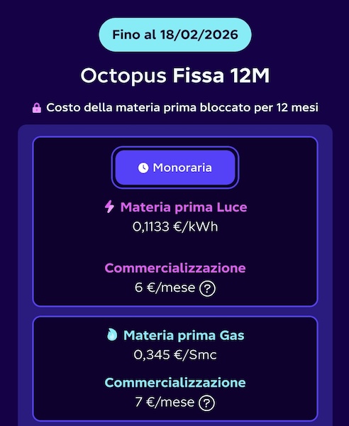 octopus fissa 12 mesi fino al 18 febbraio
