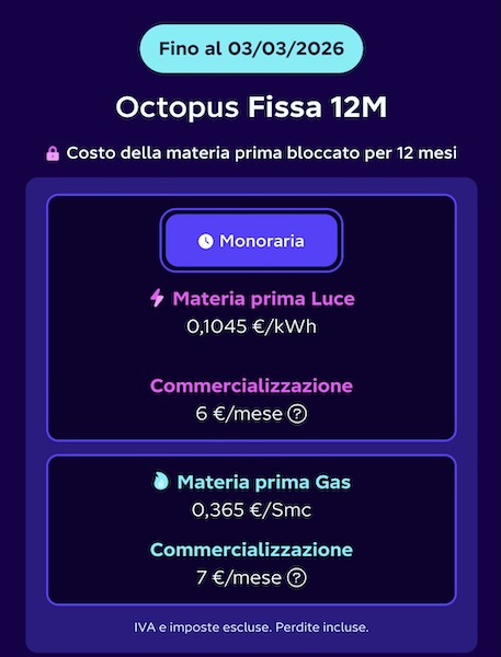 octopus fissa 12 mesi fino al 3 marzo
