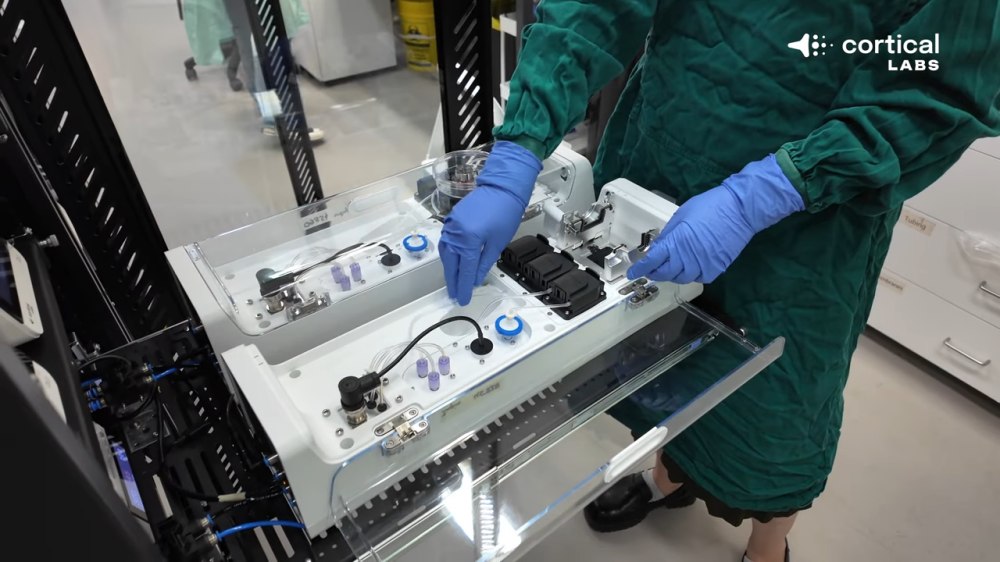 Biocomputer Cortical Labs CL1