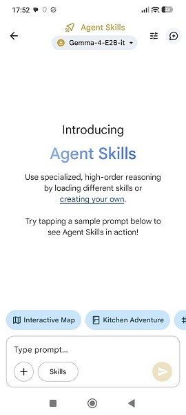 Agent Skills AI locale