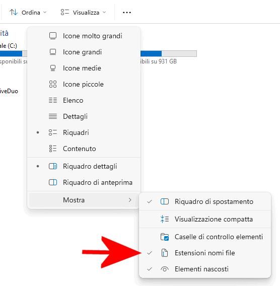 Estensioni nomi file Windows 11
